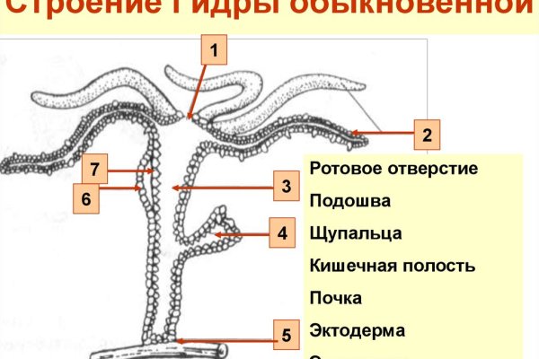 Новый адрес кракен